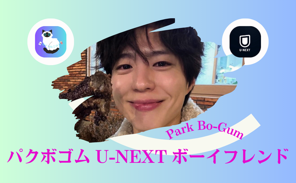パクボゴムのドラマおすすめ『ボーイフレンド』はU-NEXT配信|大人の恋がこんなに苦しいなんて