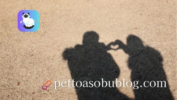 韓ドラねこのこ韓国俳優情報