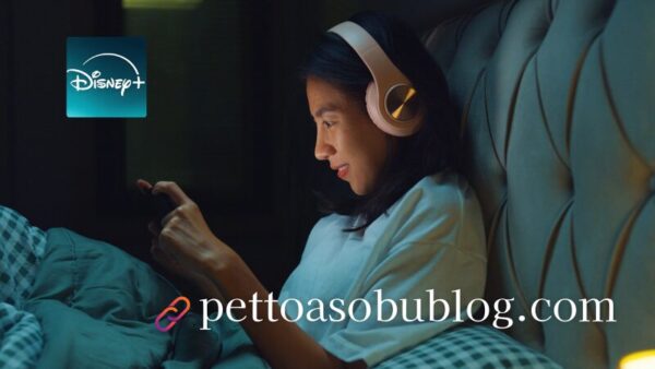 韓ドラねこのこ韓国俳優情報